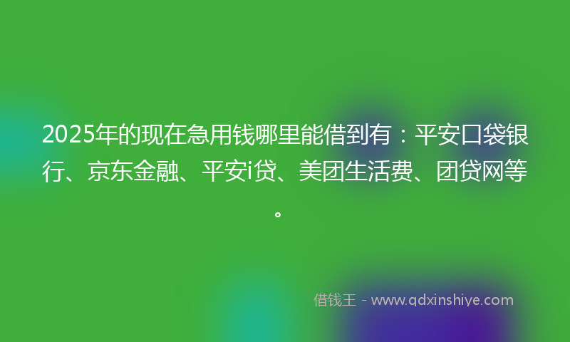 2025年的现在急用钱哪里能借到有：平安口袋银行、京东金融、平安i贷、美团生活费、团贷网等。