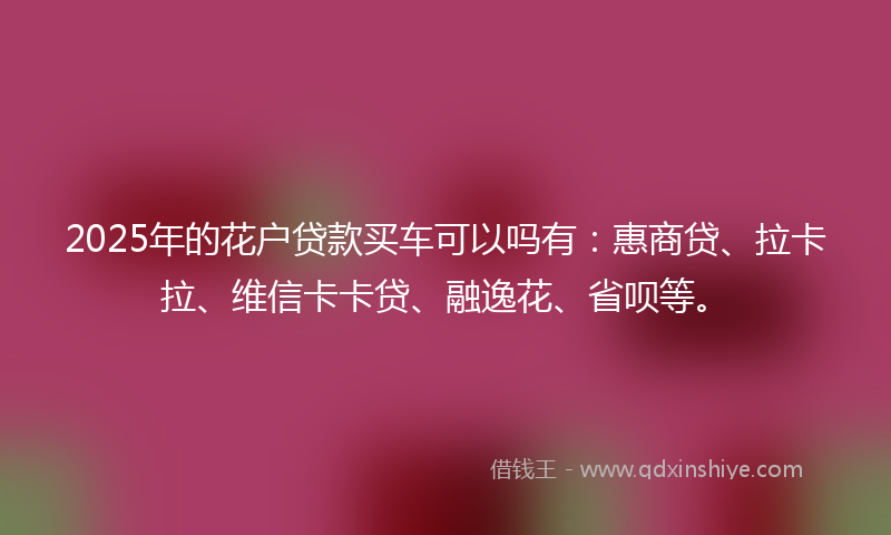 2025年的花户贷款买车可以吗有：惠商贷、拉卡拉、维信卡卡贷、融逸花、省呗等。