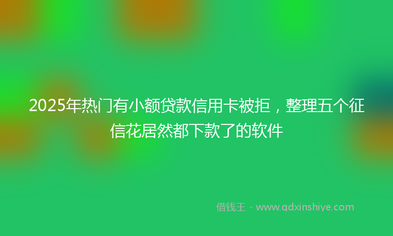 2025年热门有小额贷款信用卡被拒，整理五个征信花居然都下款了的软件