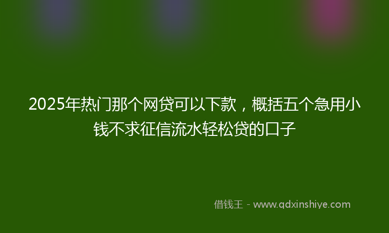 2025年热门那个网贷可以下款，概括五个急用小钱不求征信流水轻松贷的口子