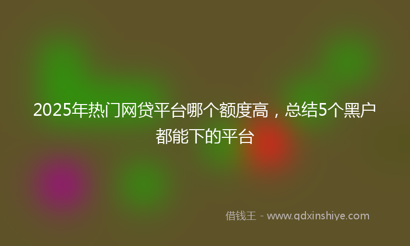 2025年热门网贷平台哪个额度高，总结5个黑户都能下的平台