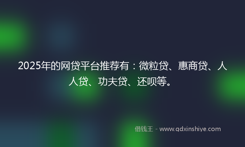 2025年的网贷平台推荐有：微粒贷、惠商贷、人人贷、功夫贷、还呗等。