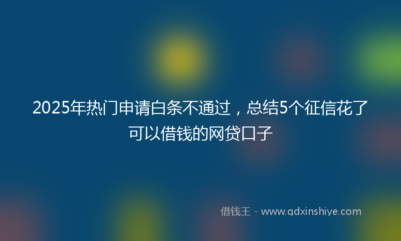 2025年热门申请白条不通过，总结5个征信花了可以借钱的网贷口子