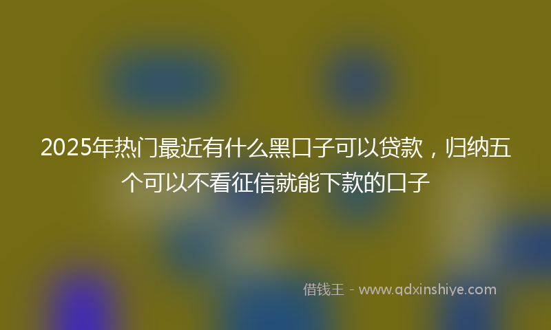 2025年热门最近有什么黑口子可以贷款，归纳五个可以不看征信就能下款的口子