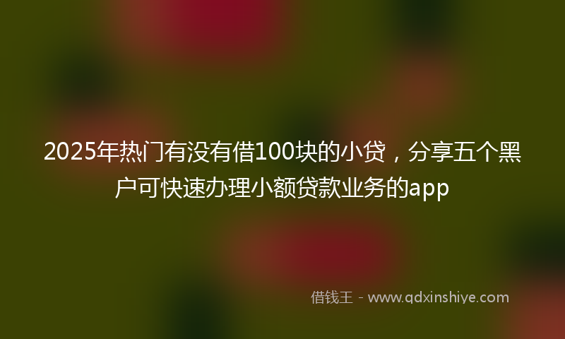 2025年热门有没有借100块的小贷，分享五个黑户可快速办理小额贷款业务的app