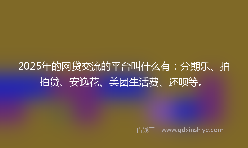 2025年的网贷交流的平台叫什么有：分期乐、拍拍贷、安逸花、美团生活费、还呗等。