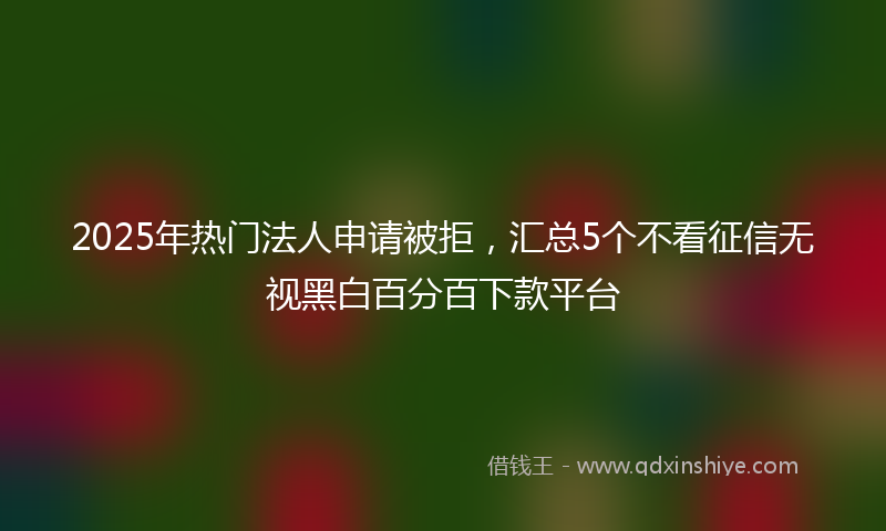 2025年热门法人申请被拒，汇总5个不看征信无视黑白百分百下款平台