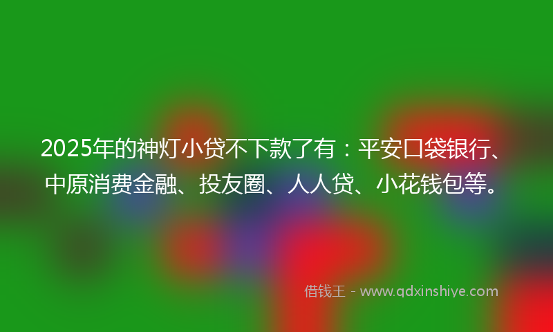 2025年的神灯小贷不下款了有：平安口袋银行、中原消费金融、投友圈、人人贷、小花钱包等。
