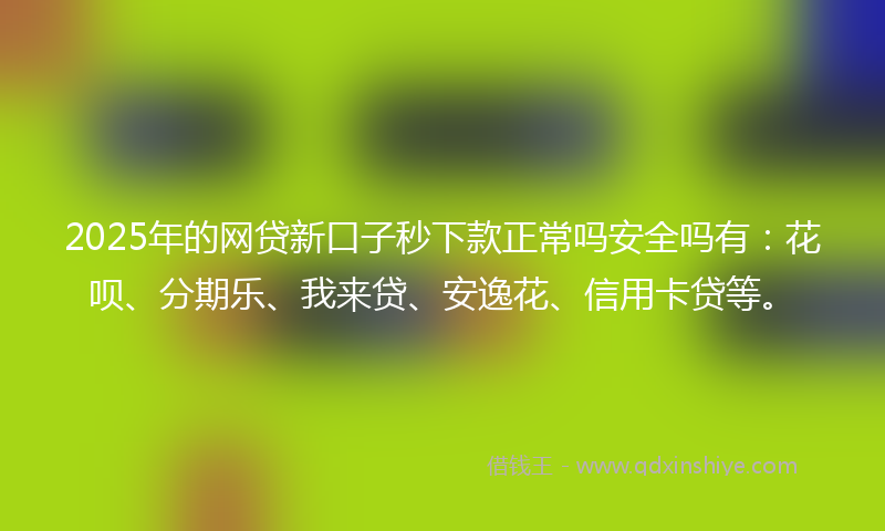 2025年的网贷新口子秒下款正常吗安全吗有：花呗、分期乐、我来贷、安逸花、信用卡贷等。