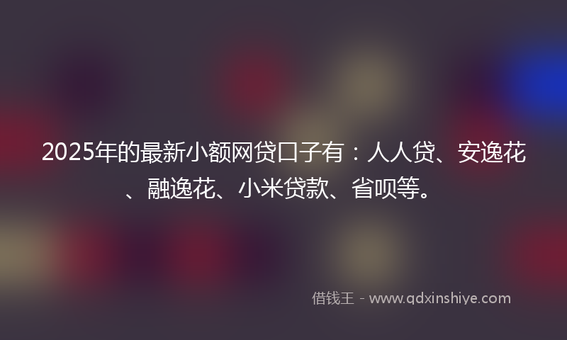 2025年的最新小额网贷口子有：人人贷、安逸花、融逸花、小米贷款、省呗等。