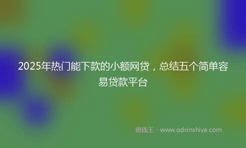 2025年热门能下款的小额网贷，总结五个简单容易贷款平台