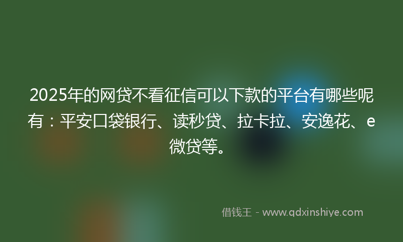2025年的网贷不看征信可以下款的平台有哪些呢有：平安口袋银行、读秒贷、拉卡拉、安逸花、e微贷等。