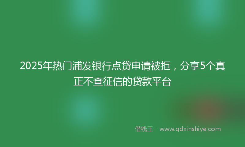 2025年热门浦发银行点贷申请被拒，分享5个真正不查征信的贷款平台