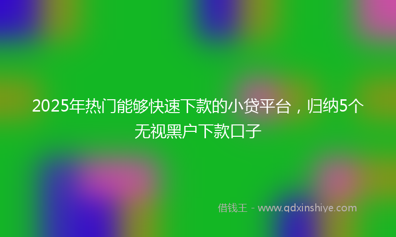 2025年热门能够快速下款的小贷平台，归纳5个无视黑户下款口子