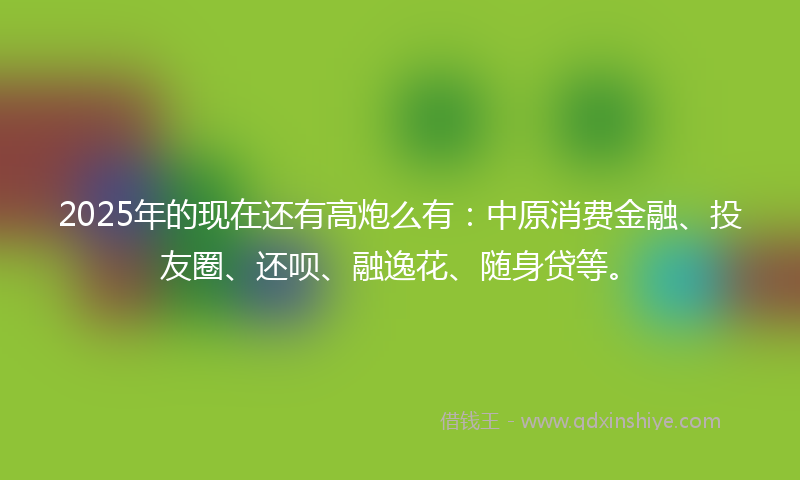 2025年的现在还有高炮么有：中原消费金融、投友圈、还呗、融逸花、随身贷等。