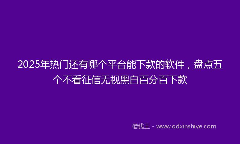 2025年热门还有哪个平台能下款的软件，盘点五个不看征信无视黑白百分百下款