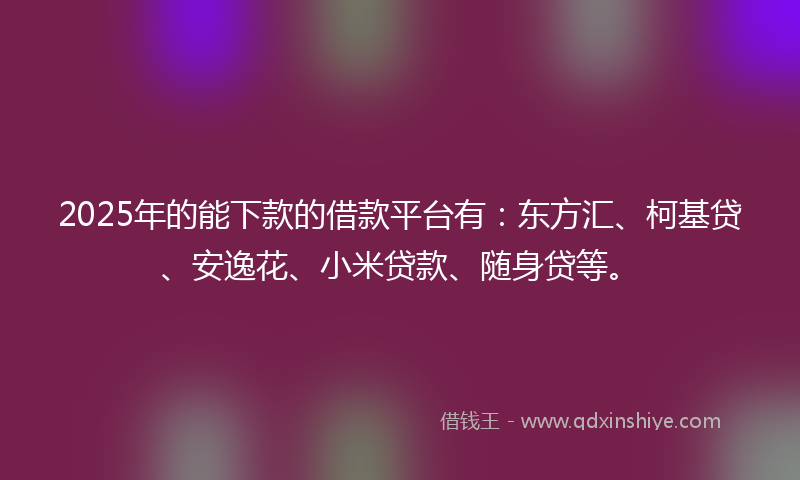 2025年的能下款的借款平台有：东方汇、柯基贷、安逸花、小米贷款、随身贷等。