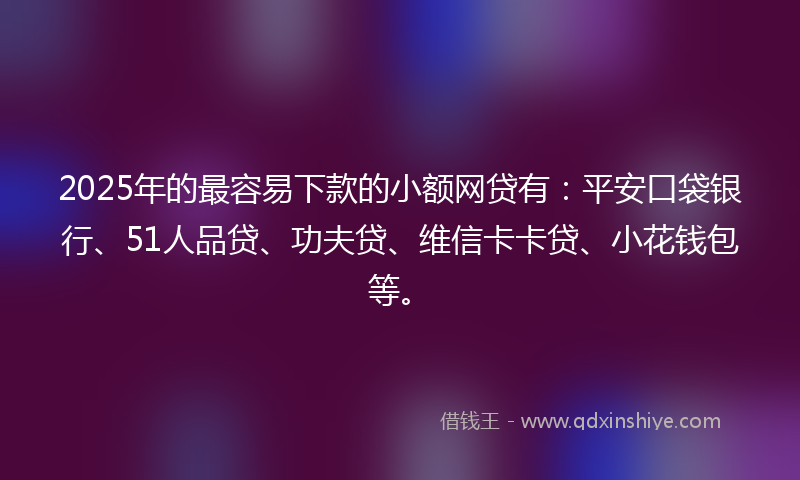 2025年的最容易下款的小额网贷有：平安口袋银行、51人品贷、功夫贷、维信卡卡贷、小花钱包等。
