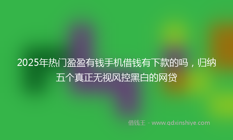 2025年热门盈盈有钱手机借钱有下款的吗，归纳五个真正无视风控黑白的网贷