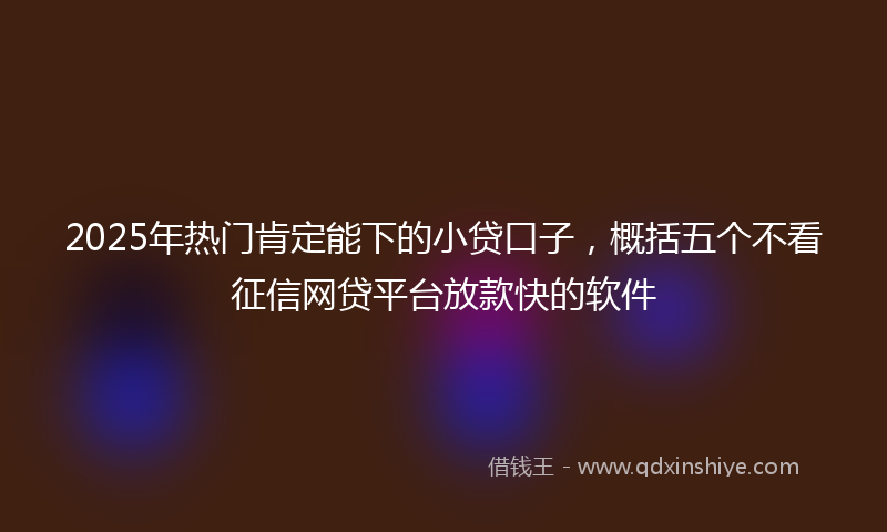 2025年热门肯定能下的小贷口子，概括五个不看征信网贷平台放款快的软件