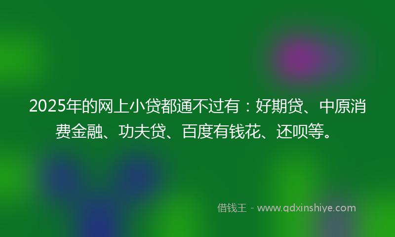 2025年的网上小贷都通不过有：好期贷、中原消费金融、功夫贷、百度有钱花、还呗等。