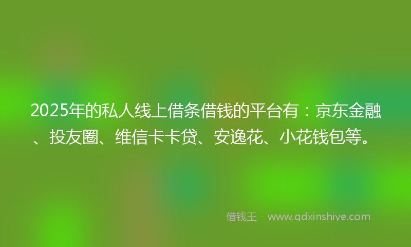 2025年的私人线上借条借钱的平台有：京东金融、投友圈、维信卡卡贷、安逸花、小花钱包等。