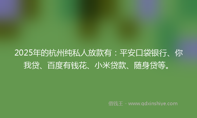 2025年的杭州纯私人放款有：平安口袋银行、你我贷、百度有钱花、小米贷款、随身贷等。
