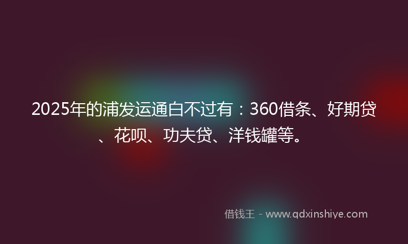 2025年的浦发运通白不过有：360借条、好期贷、花呗、功夫贷、洋钱罐等。