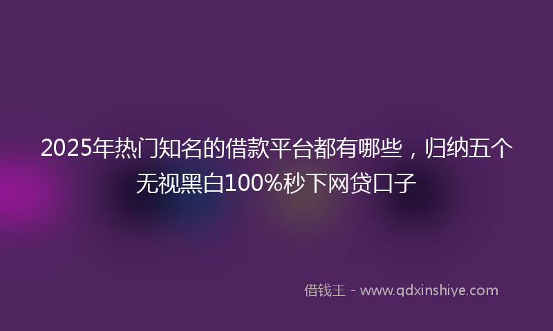 2025年热门知名的借款平台都有哪些，归纳五个无视黑白100%秒下网贷口子