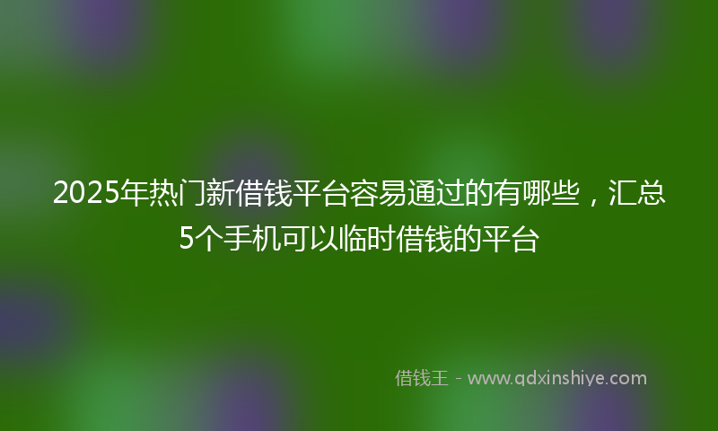 2025年热门新借钱平台容易通过的有哪些，汇总5个手机可以临时借钱的平台