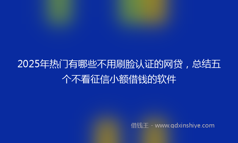 2025年热门有哪些不用刷脸认证的网贷，总结五个不看征信小额借钱的软件