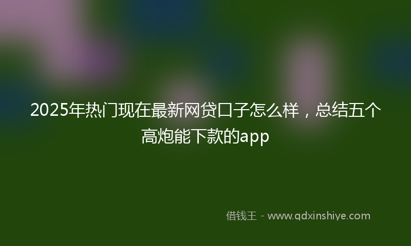 2025年热门现在最新网贷口子怎么样，总结五个高炮能下款的app