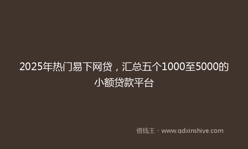 2025年热门易下网贷，汇总五个1000至5000的小额贷款平台