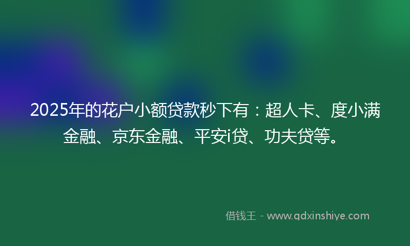 2025年的花户小额贷款秒下有：超人卡、度小满金融、京东金融、平安i贷、功夫贷等。