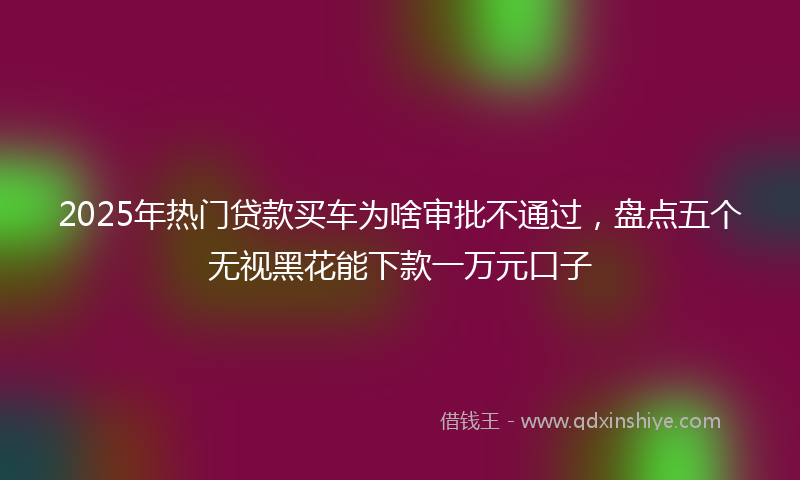 2025年热门贷款买车为啥审批不通过，盘点五个无视黑花能下款一万元口子