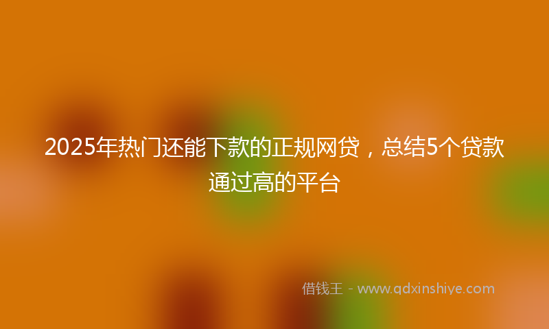 2025年热门还能下款的正规网贷，总结5个贷款通过高的平台