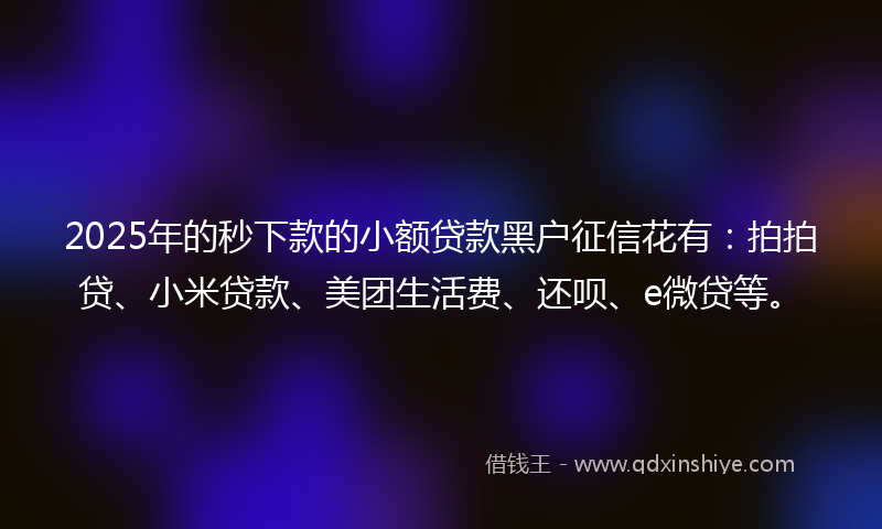2025年的秒下款的小额贷款黑户征信花有：拍拍贷、小米贷款、美团生活费、还呗、e微贷等。