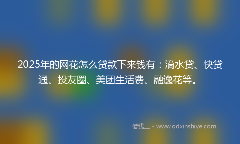 2025年的网花怎么贷款下来钱有：滴水贷、快贷通、投友圈、美团生活费、融逸花等。