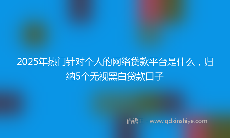 2025年热门针对个人的网络贷款平台是什么，归纳5个无视黑白贷款口子