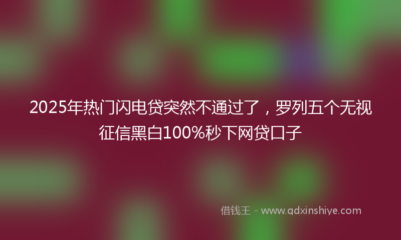 2025年热门闪电贷突然不通过了，罗列五个无视征信黑白100%秒下网贷口子
