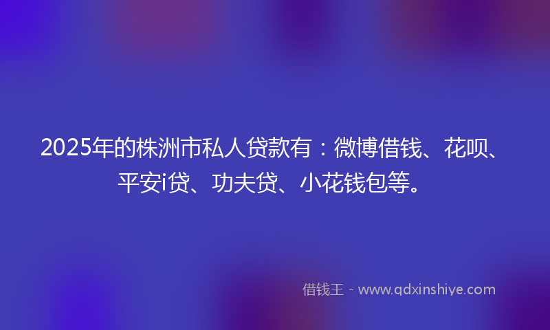 2025年的株洲市私人贷款有：微博借钱、花呗、平安i贷、功夫贷、小花钱包等。