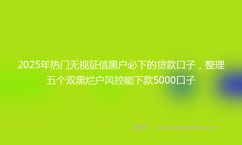 2025年热门无视征信黑户必下的贷款口子，整理五个双黑烂户风控能下款5000口子