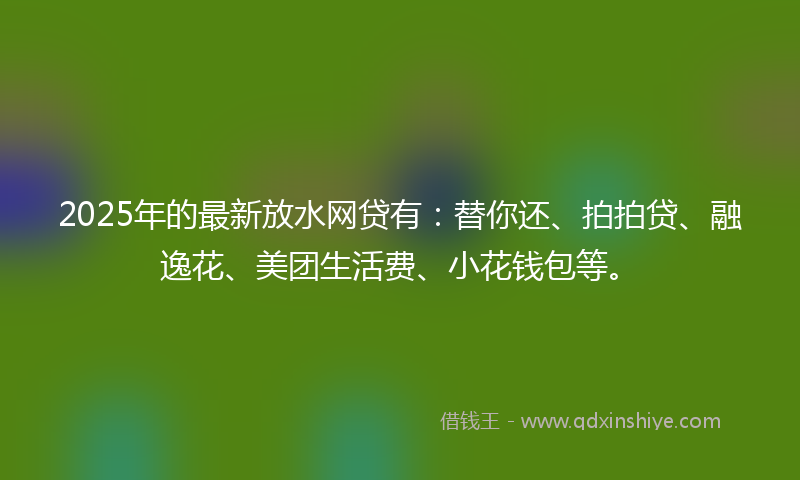 2025年的最新放水网贷有：替你还、拍拍贷、融逸花、美团生活费、小花钱包等。