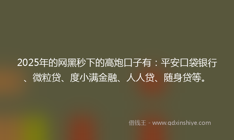 2025年的网黑秒下的高炮口子有：平安口袋银行、微粒贷、度小满金融、人人贷、随身贷等。