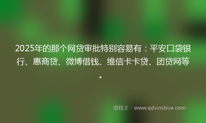 2025年的那个网贷审批特别容易有：平安口袋银行、惠商贷、微博借钱、维信卡卡贷、团贷网等。