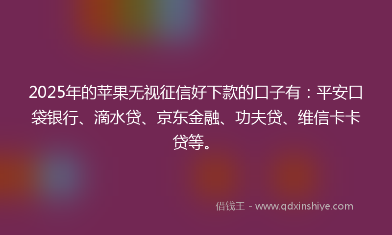 2025年的苹果无视征信好下款的口子有：平安口袋银行、滴水贷、京东金融、功夫贷、维信卡卡贷等。