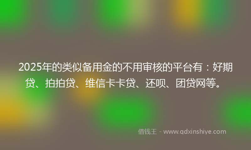 2025年的类似备用金的不用审核的平台有：好期贷、拍拍贷、维信卡卡贷、还呗、团贷网等。
