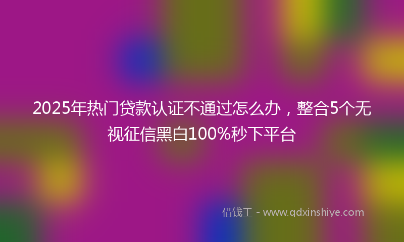 2025年热门贷款认证不通过怎么办，整合5个无视征信黑白100%秒下平台