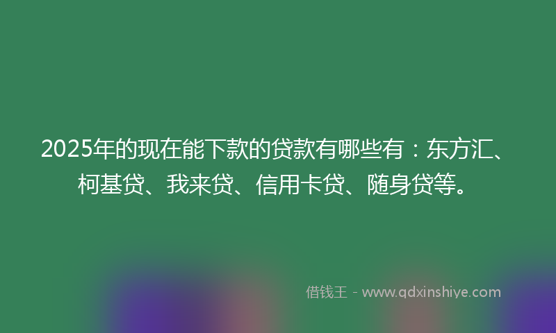 2025年的现在能下款的贷款有哪些有：东方汇、柯基贷、我来贷、信用卡贷、随身贷等。