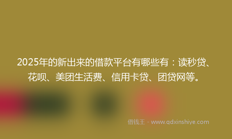 2025年的新出来的借款平台有哪些有：读秒贷、花呗、美团生活费、信用卡贷、团贷网等。